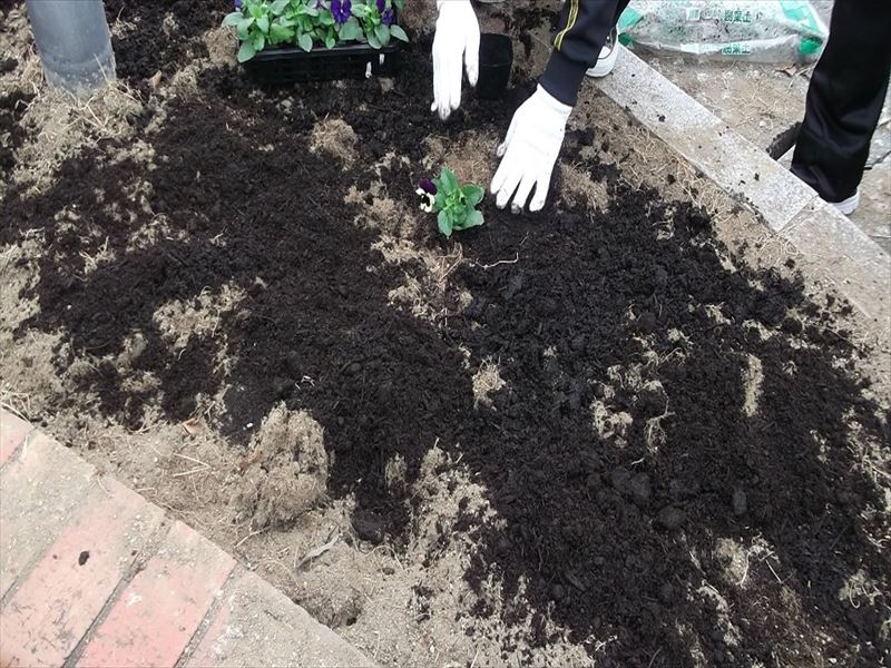 作業紹介 瀬高駅前の花壇 草むしり 花の植え替え 事業所ブログ